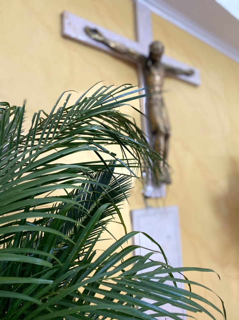 Domingo de ramos 