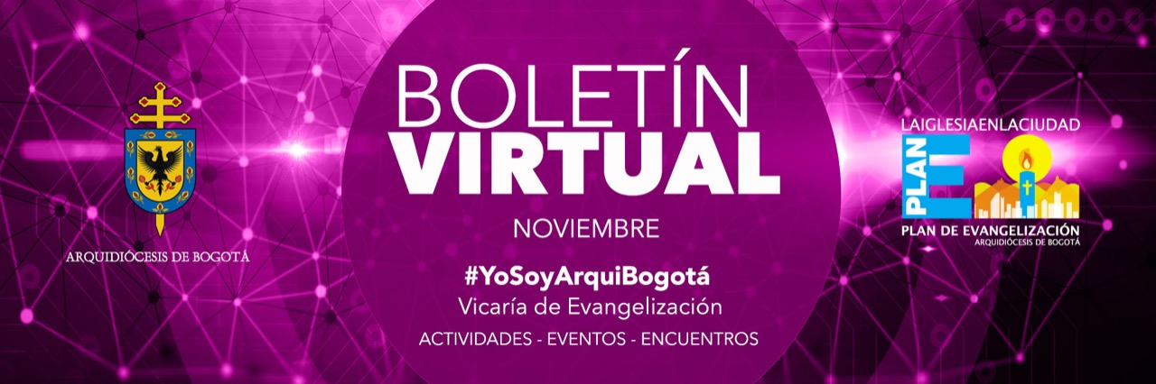 Banner boletin noviembre