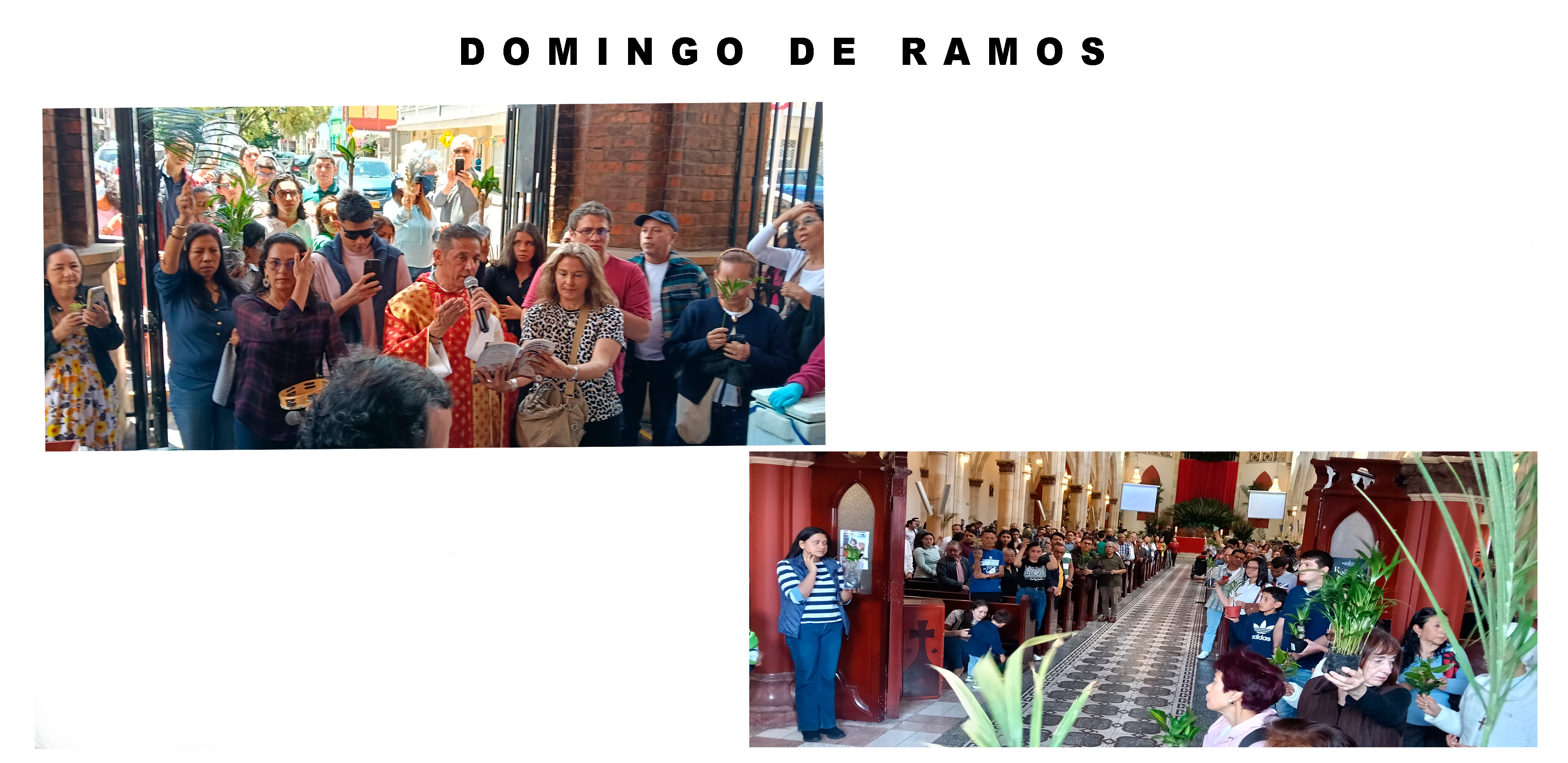 domingo