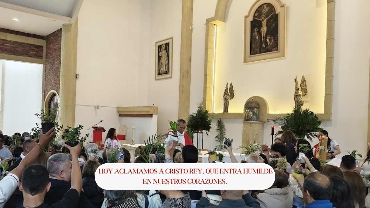 ordenación