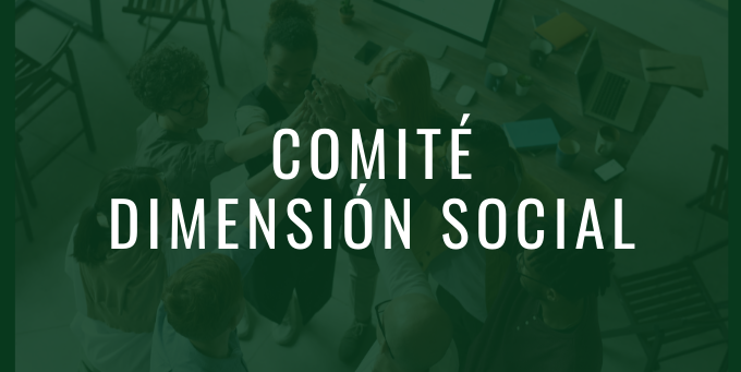 comité vicarial ds