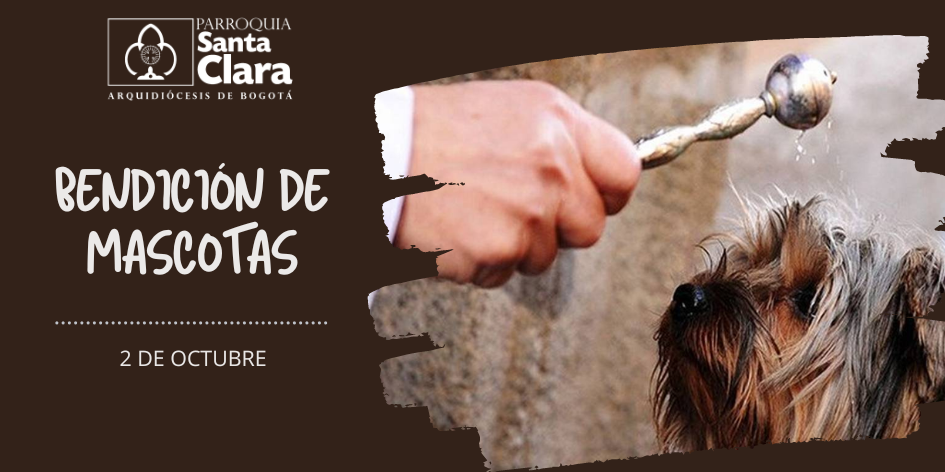 Bendición Mascotas
