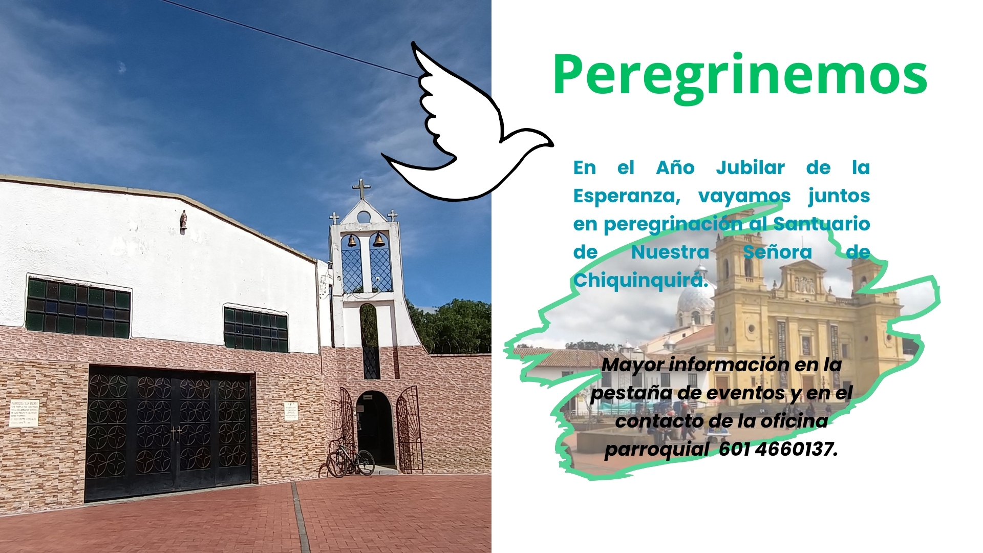 Peregrinación 012025