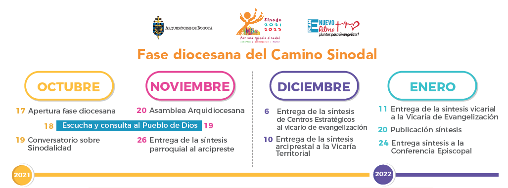 sinodalidad
