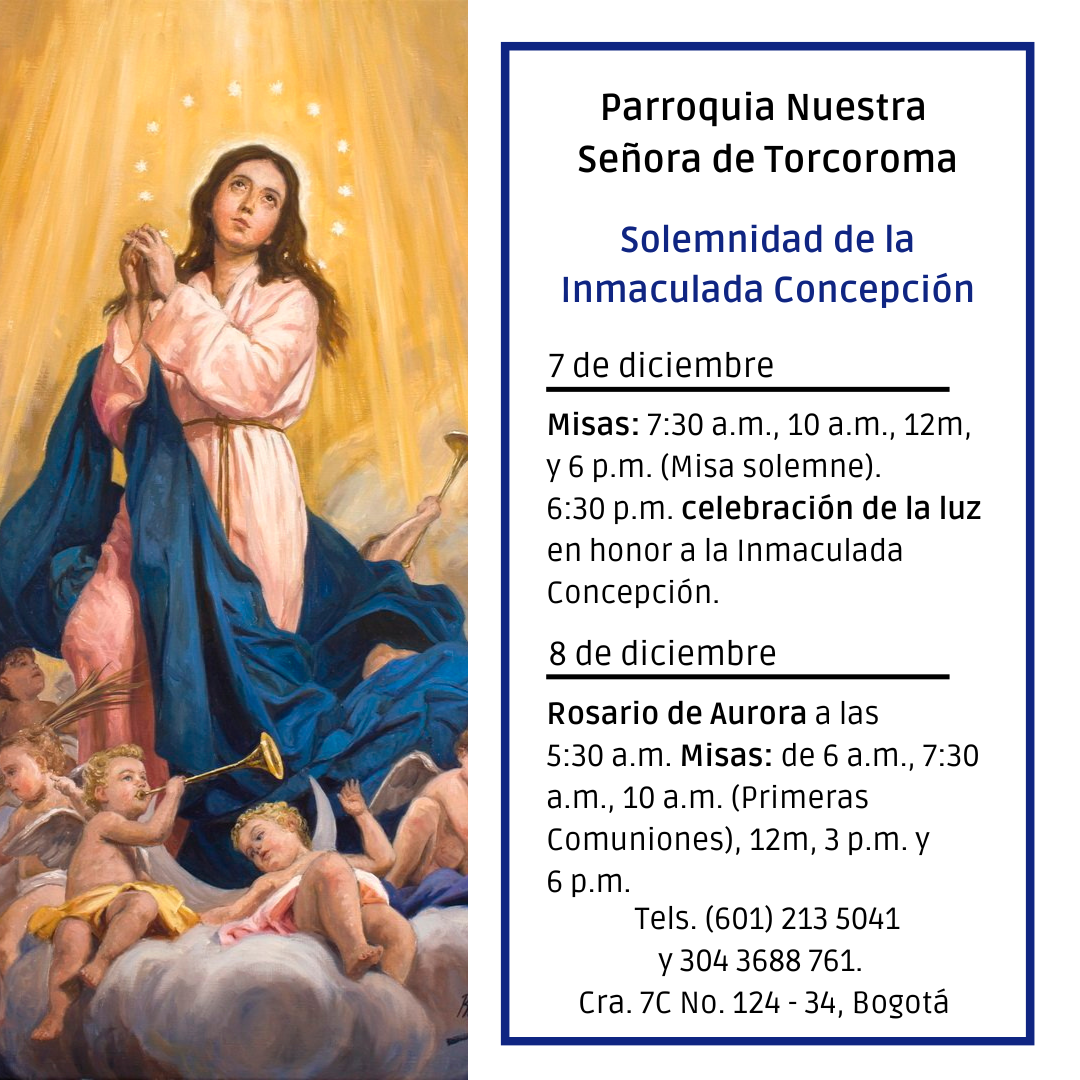 celebración Inmaculada Concepción