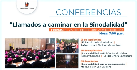 Sinodalidad