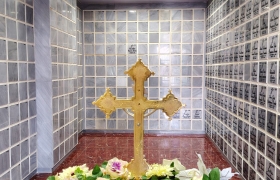Cenizarios 